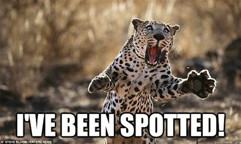 funny leopard memes.